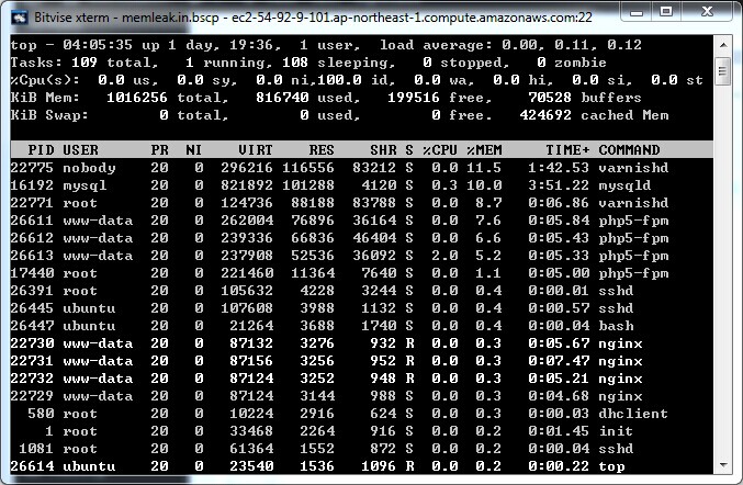 AWS EC2 Ubuntu上搭建基于LNMP的WordPress
